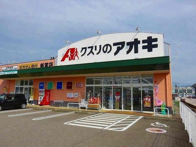 ヴィラ・ド・フルールＢの周辺|クスリのアオキ新富店まで1100m