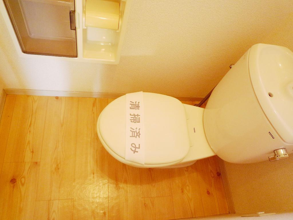 メゾン・ラフレシスのトイレ|実際は温水シャワー付トイレです