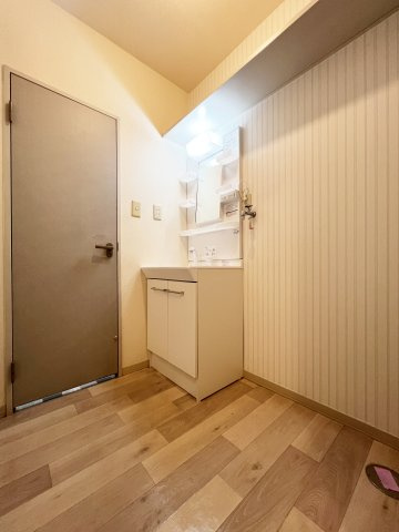 メゾン・ラフレシスの洗面所|シャワー付洗面台と洗濯機置き場