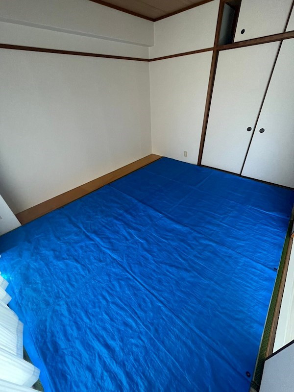 ツインティ木本のその他