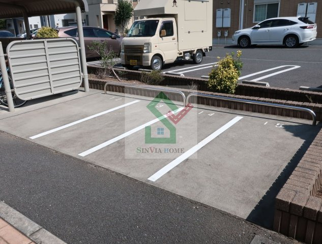セレッソNのその他