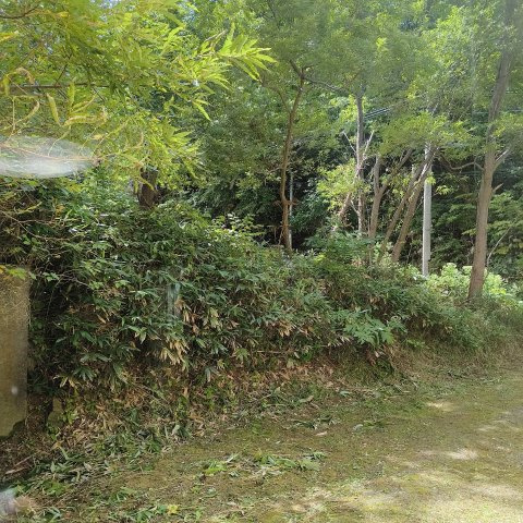 光和ハイツＢの庭