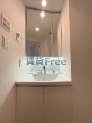 【独立洗面台】 | レオンコンフォート上本町　仲介手数料無料