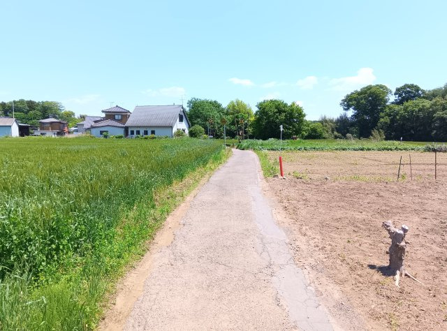 筑西市西方の前面道路含む現地写真