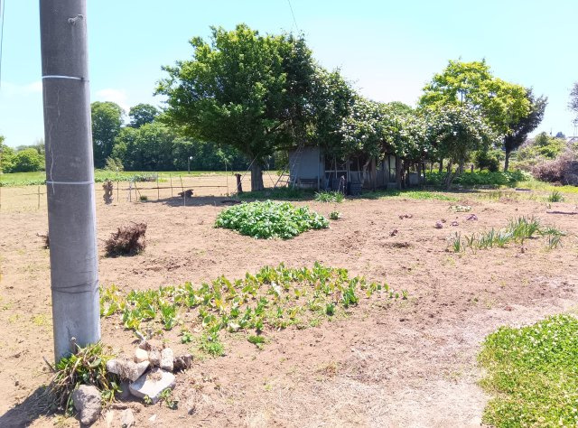 筑西市西方の外観