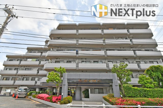 ワコーレ越谷の外観|東武伊勢崎線『新越谷』駅徒歩20分、JR武蔵野線『南越谷』駅徒歩21分の立地。2路線利用可能で通勤通学はもちろん、休日のお出掛けも便利です。スーパー・コンビニ。ドラックストア徒歩10分圏内に多数あり◎