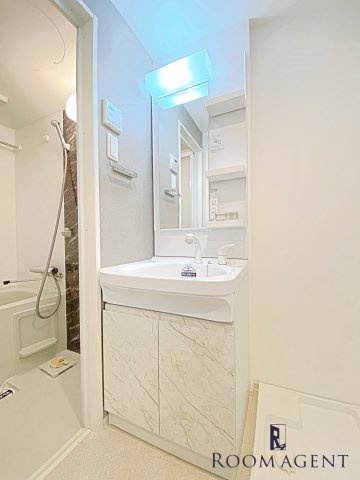 S-RESIDENCE高岳bresa(ブレサ)の洗面所