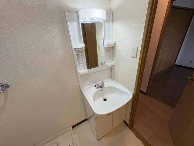 ベル野田の洗面所