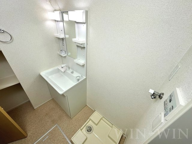 メゾン コリーヌの洗面所