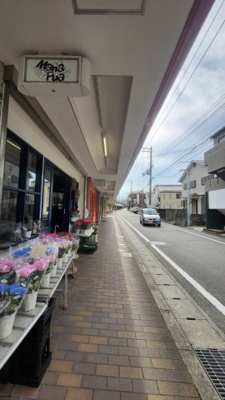【周辺】 | 阪急夙川サンらいふ