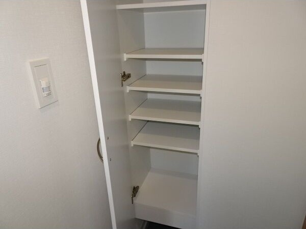 Casa Avenue Ikeshitaの収納