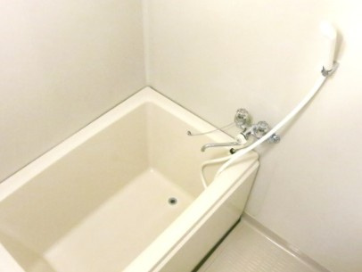 相模原市中央区共和４丁目の賃貸マンションの浴室