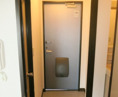相模原市中央区共和４丁目の賃貸マンションの玄関