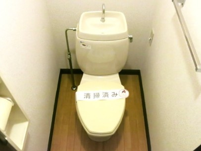 相模原市中央区共和４丁目の賃貸マンションのトイレ