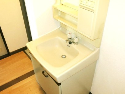 相模原市中央区共和４丁目の賃貸マンションの独立洗面台