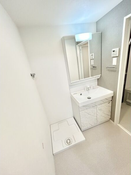 S-RESIDENCE高岳bresa(ブレサ)　の洗面所