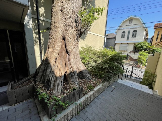 パラシオ御影の内装