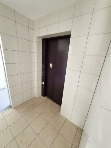 カーロ．アロッジオのその他