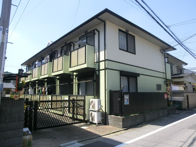 アスターグリーン