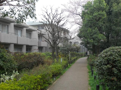 【周辺】 | リビエール宮の坂