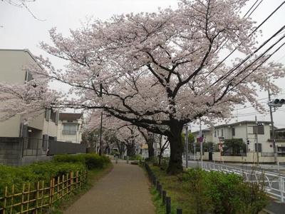 【周辺】 | リビエール宮の坂