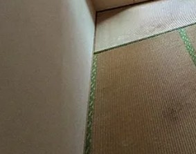 クレインⅡビルのその他