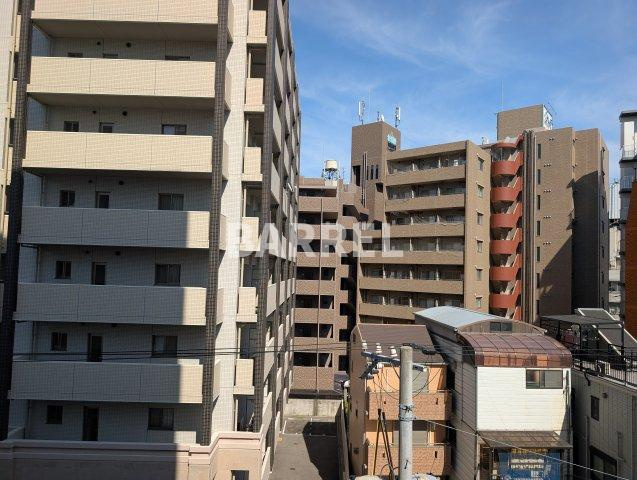 エクセレント上新15の展望