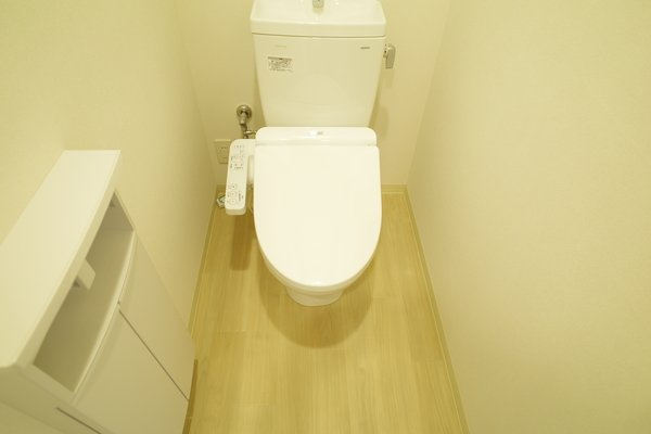 熊本市南区近見８丁目の賃貸マンションのトイレ