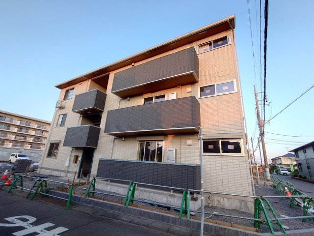 トリシア花水木　M