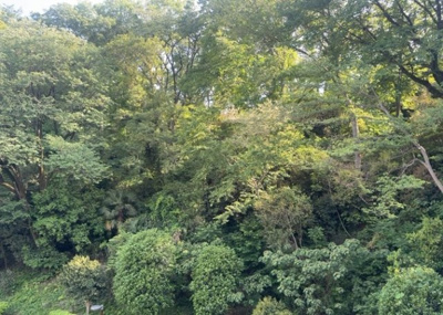 【展望】 | 小山田桜台２９号棟 | 眺望の良さを楽しめるダイニングキッチンで家族団らんの時間を過ごしてはいかがでしょうか。バルコニーから見える景色を家族で眺める時間は、時間が経つのを忘れてしまいそうですね。是非、現地を見に行きましょう！