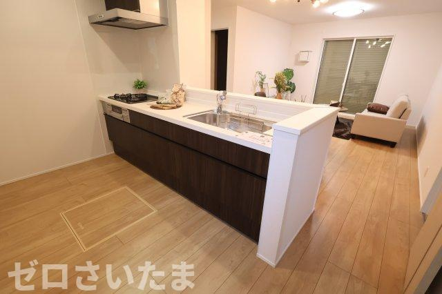 《仲介手数料無料》岩槻区加倉４丁目16-11新築一戸建てリナージュのエントランス