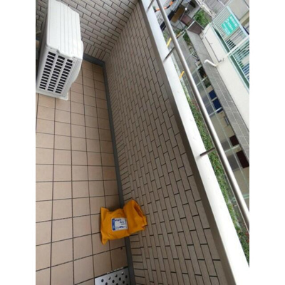 【バルコニー】 | ルピアオウギ