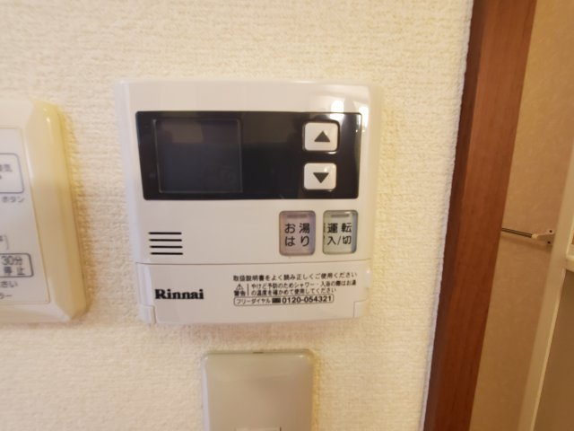 フィオーレのその他
