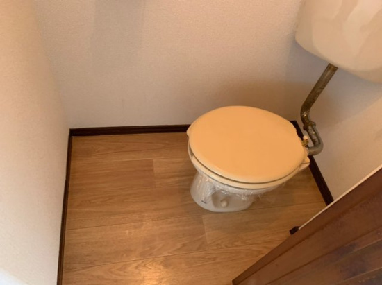 フォーサイト上津RⅡのトイレ|トイレもきれいです