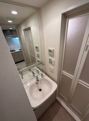プレサンスOSAKA江坂の洗面所