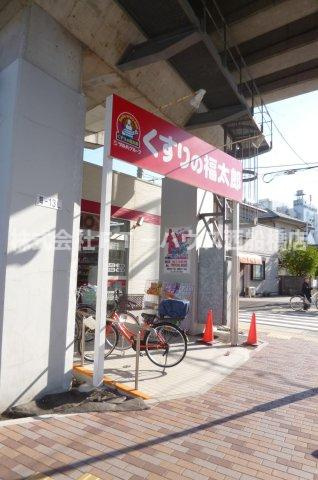 サン・ルピナス