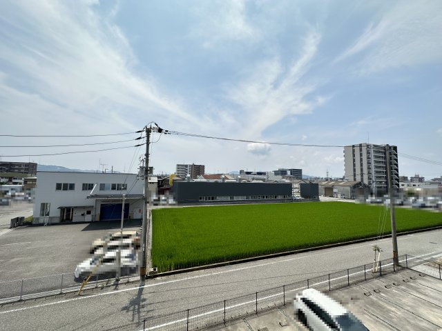 エルフィーノⅡの展望
