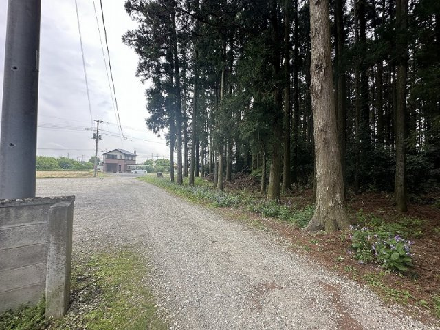 【前面道路含む現地写真】