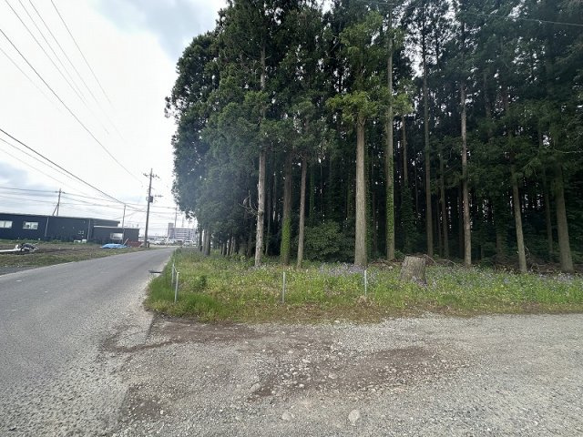【前面道路含む現地写真】