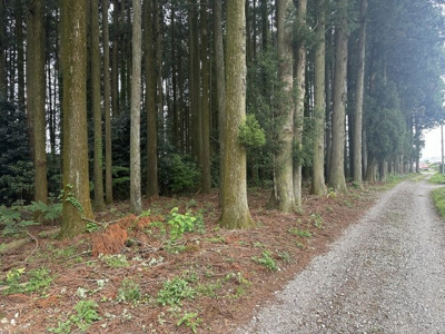 【外観】 | 那須塩原市東小屋　30,441万円　土地