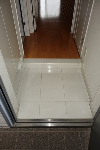 ステラメゾン茗荷谷の玄関