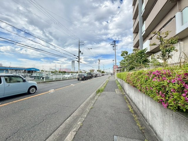 ディーレスティアりんくう羽倉崎の周辺|西側前面道路