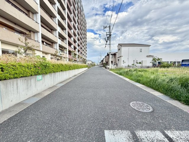 ディーレスティアりんくう羽倉崎の周辺|南側前面道路