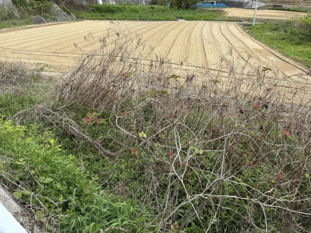 牛窓町牛窓　売土地