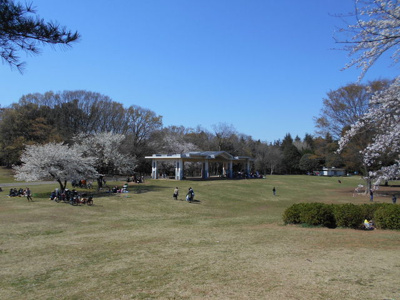 光が丘公園まで1700ｍ