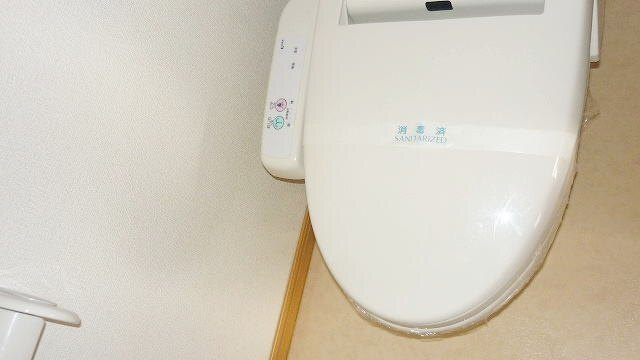 フェリシダ矢蔵　Ⅲのトイレ
