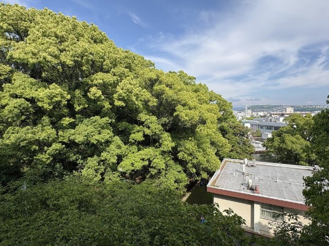 サンマリノユタカの周辺