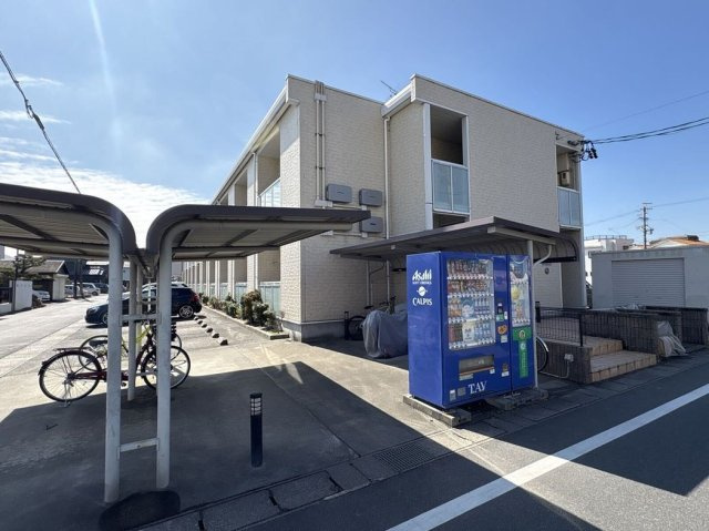 レオネクストモーニングローリー