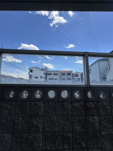 エクセルコートⅢの展望