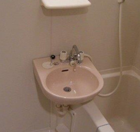 フェニックス荻窪弐番館の洗面所